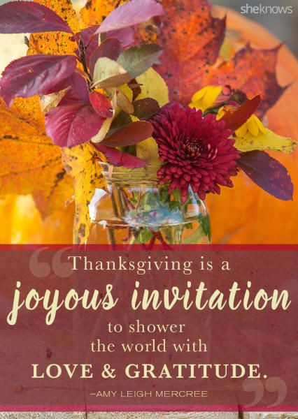 Meaning Of Thanksgiving Quotes
 Thanksgiving Quotes Perfect to Read Around the Dinner