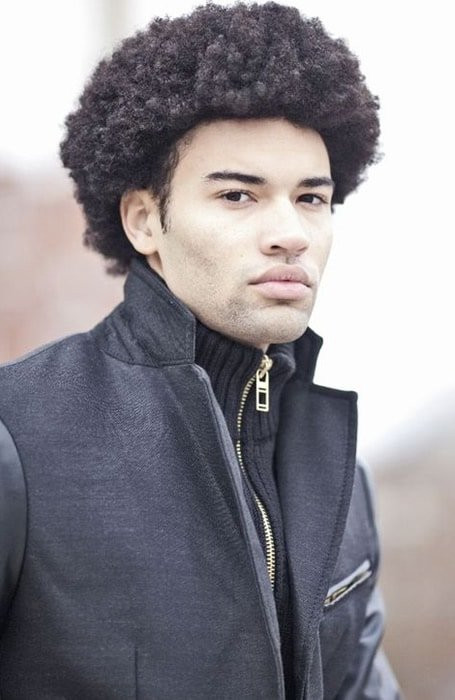 Mens Afro Hairstyles
 85 Best Afro & Black Men Hairstyles and Haircuts The