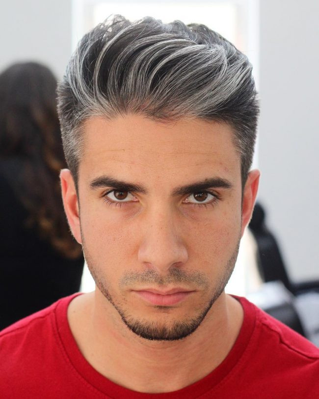 25 Ideas for Mens Grey Hairstyles - Home, Family, Style and Art Ideas