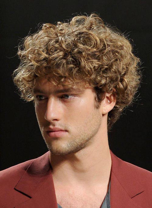 Mens Long Curly Hairstyle
 Best Long Hairstyles for Men 2012 2013