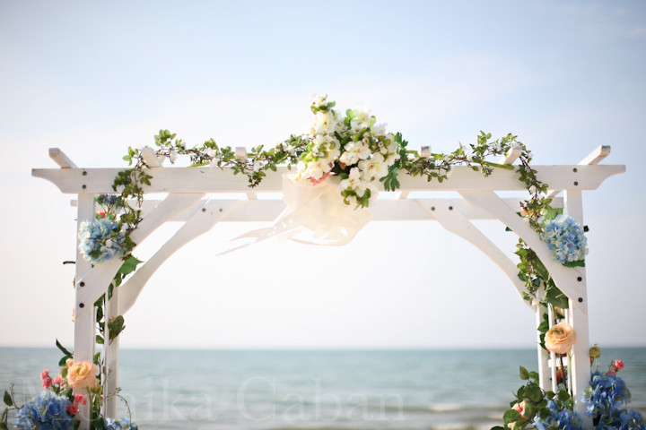 Michigan Beach Weddings
 Southwest Michigan Beach Wedding Destination