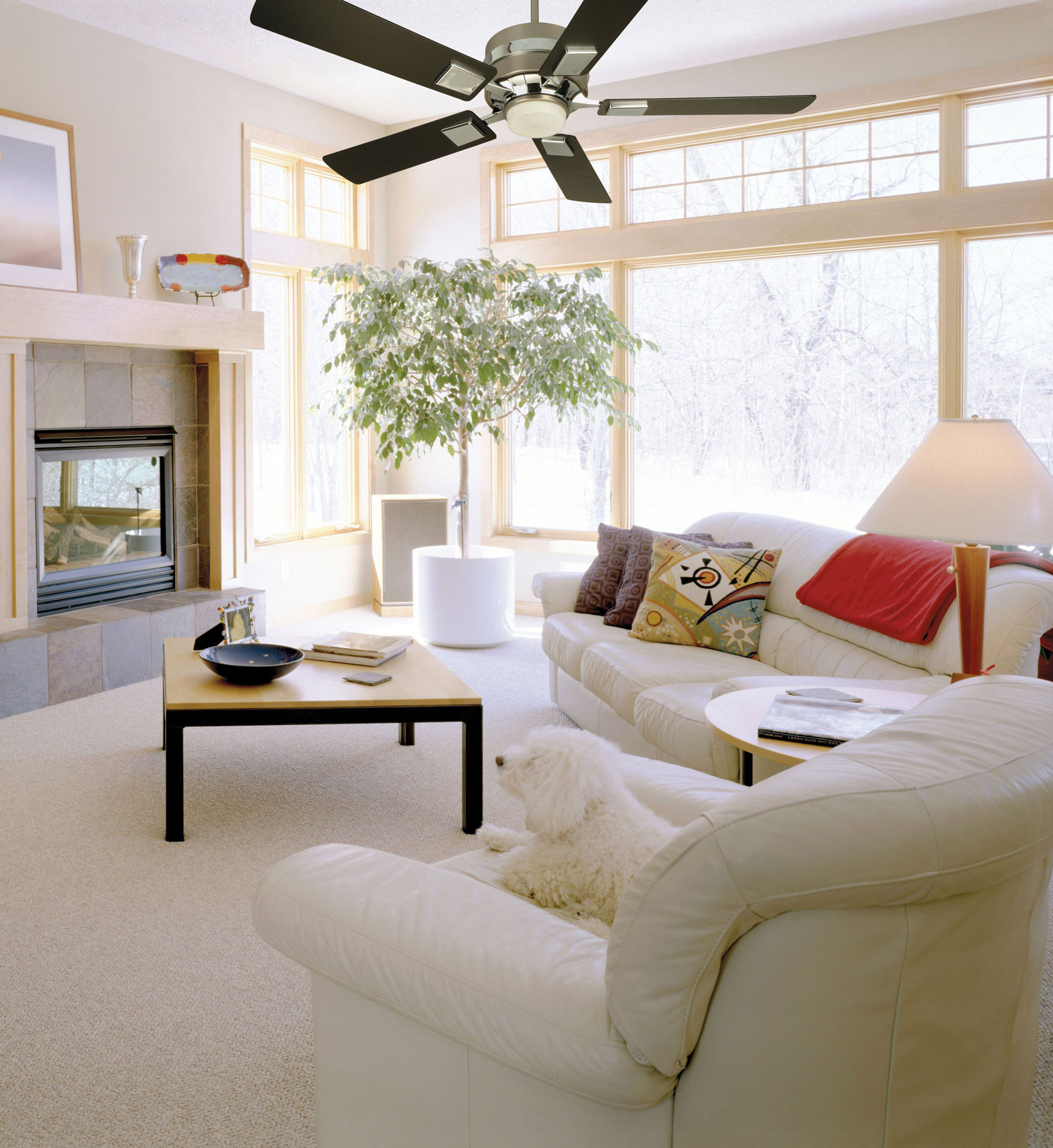 Modern Living Room Ceiling Fan
 Modern Ceiling Fan with Stunning Visual Amaza Design