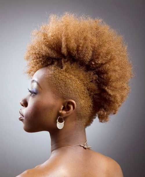 Mohawk Hairstyle For Natural Hair
 Impressive Black Mohawk Hairstyles