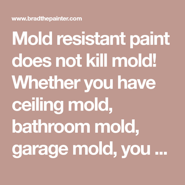 Mold Resistant Bathroom Paint
 Mold Resistant Paint with 6 Easy Steps to Paint Over Mold