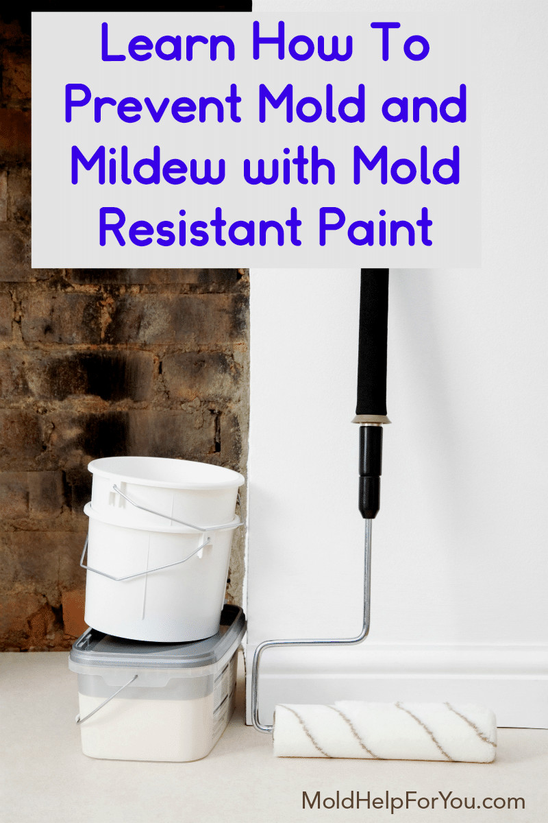 Mold Resistant Bathroom Paint
 The Best Mold Resistant Paint