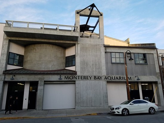 Monterey Bay Aquarium Thanksgiving Hours
 30 Best Monterey Bay Aquarium Thanksgiving Hours Home