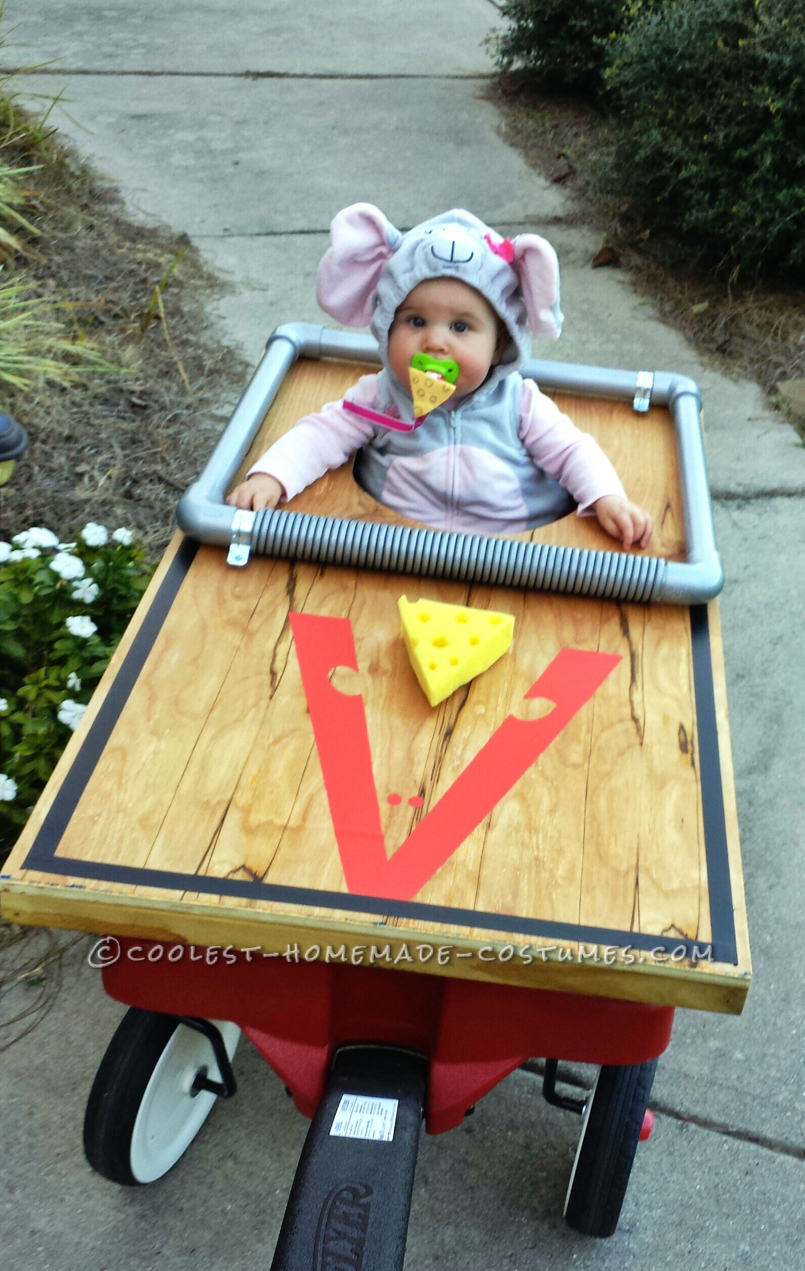 Mouse Costume DIY
 Cutest Baby Mouse Mousetrap Costume