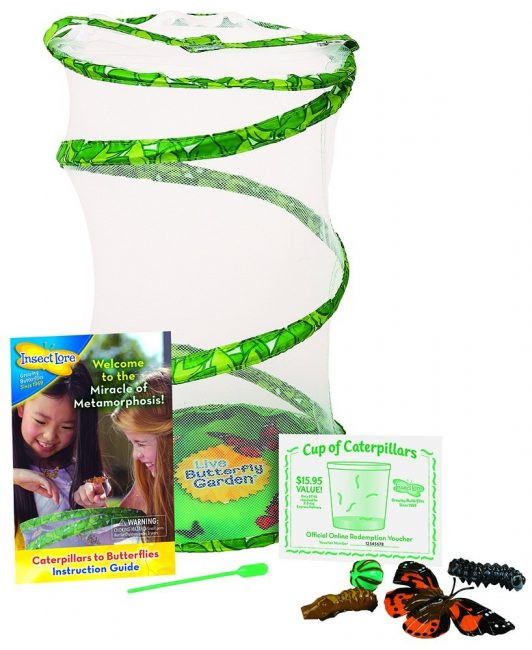 Nature Gifts For Kids
 30 Fun Nature Gift Ideas for Kids Nourishing My Scholar