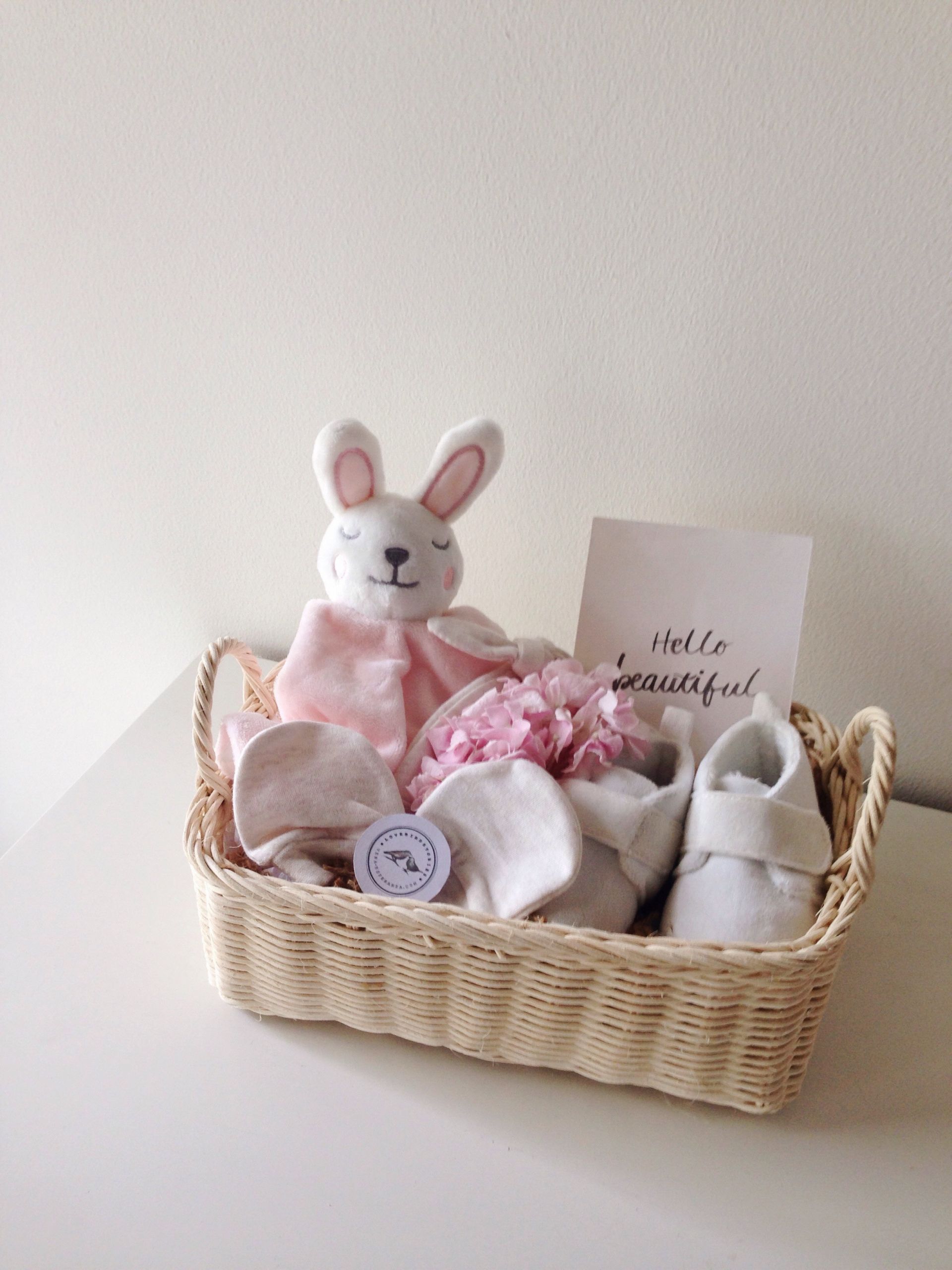 Newborn Baby Gift Baskets Ideas
 Wel e Baby Gifts Ideas vena esperanza