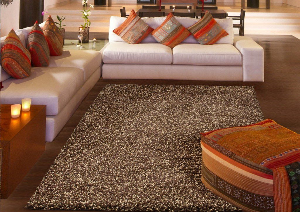 Nice Rugs For Living Room
 BEST 10 ADORABLE SHAG AREA RUGS FOR CHIC LIVING ROOM
