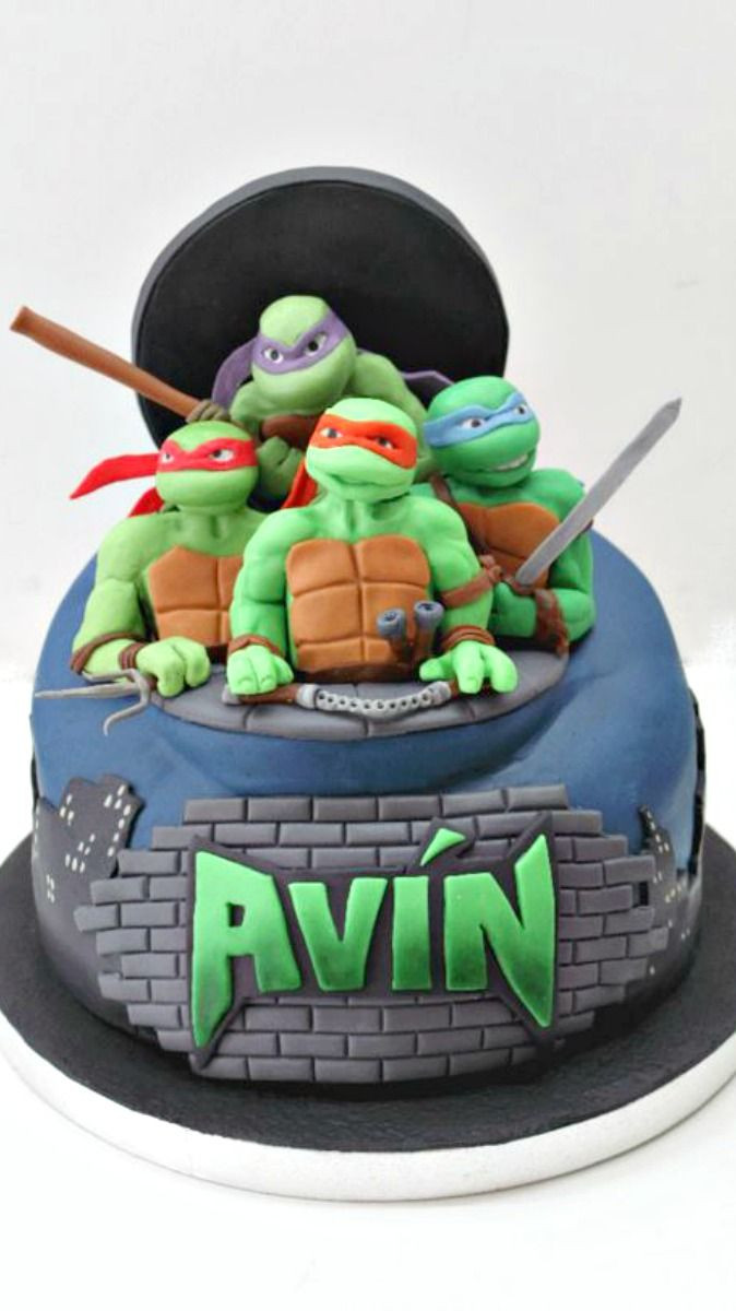 Ninja Turtle Birthday Cake Ideas
 Ninja Turtle Cake For all your cake decorating supplies
