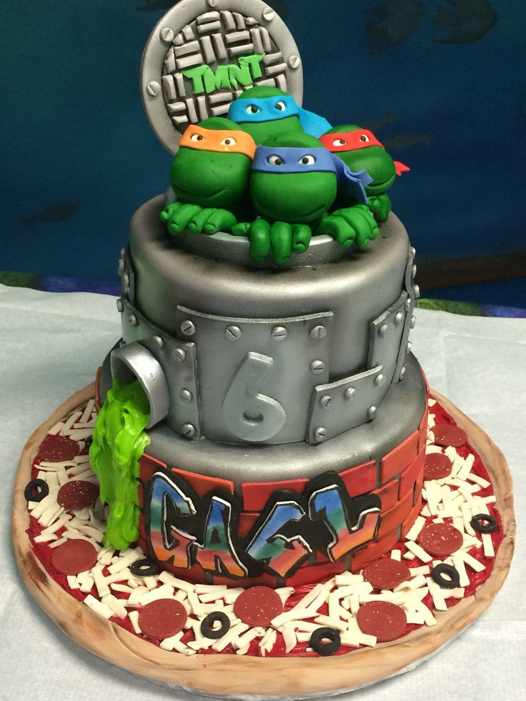 Ninja Turtle Birthday Cake Ideas
 Ninja turtles cake …