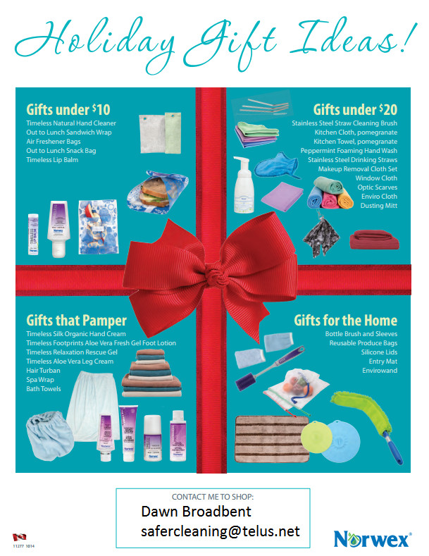 Norwex Holiday Gift Ideas
 2014 Norwex Holiday Gift Ideas