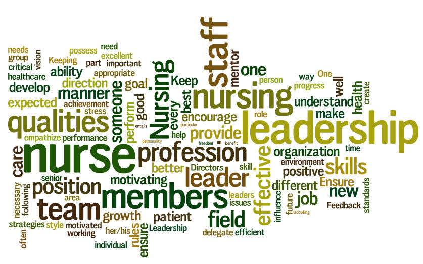 Nursing Leadership Quotes
 Leadership Philosophy Quotes QuotesGram