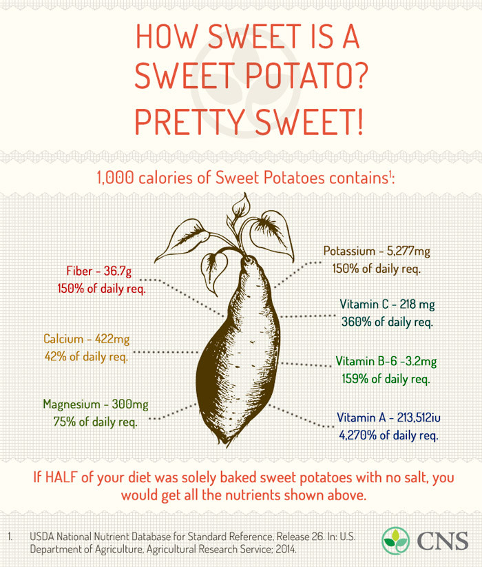 Nutrition Sweet Potato
 How Sweet is a Sweet Potato Pretty Sweet Center for