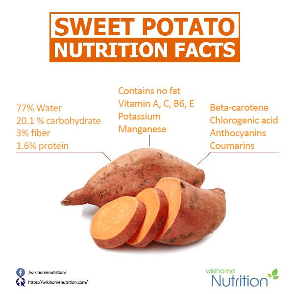 Nutrition Sweet Potato
 carbs in pumpkin vs sweet potato