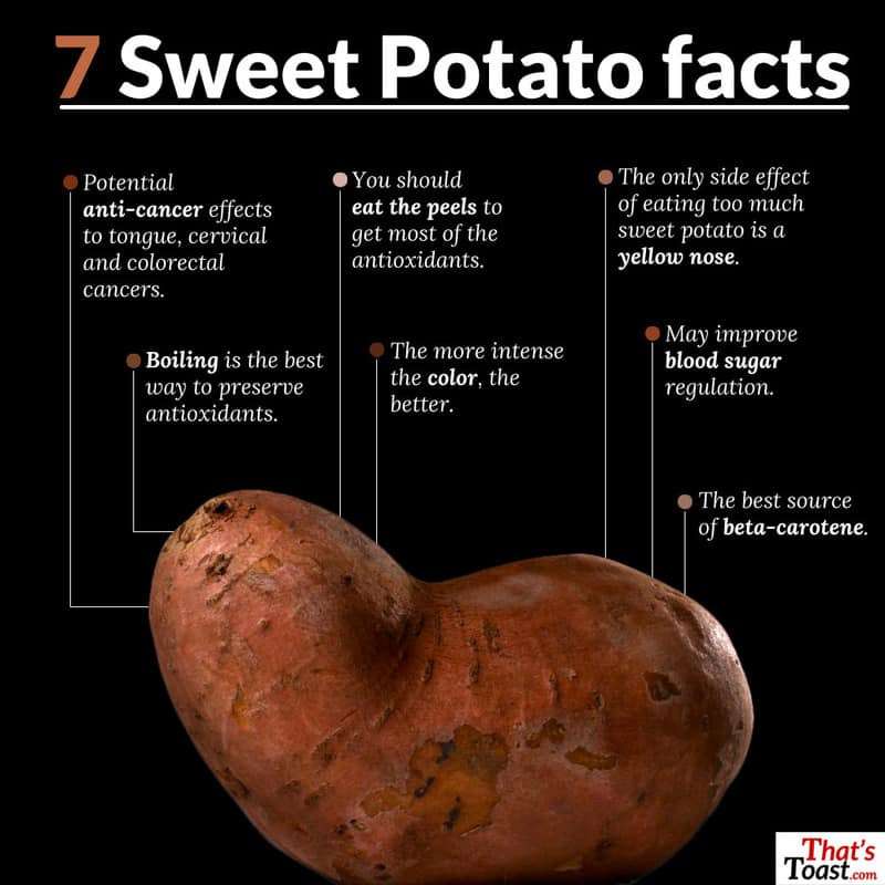 Nutrition Sweet Potato
 Top mon Prejudices About Can Dogs Eat Sweet Potatoes