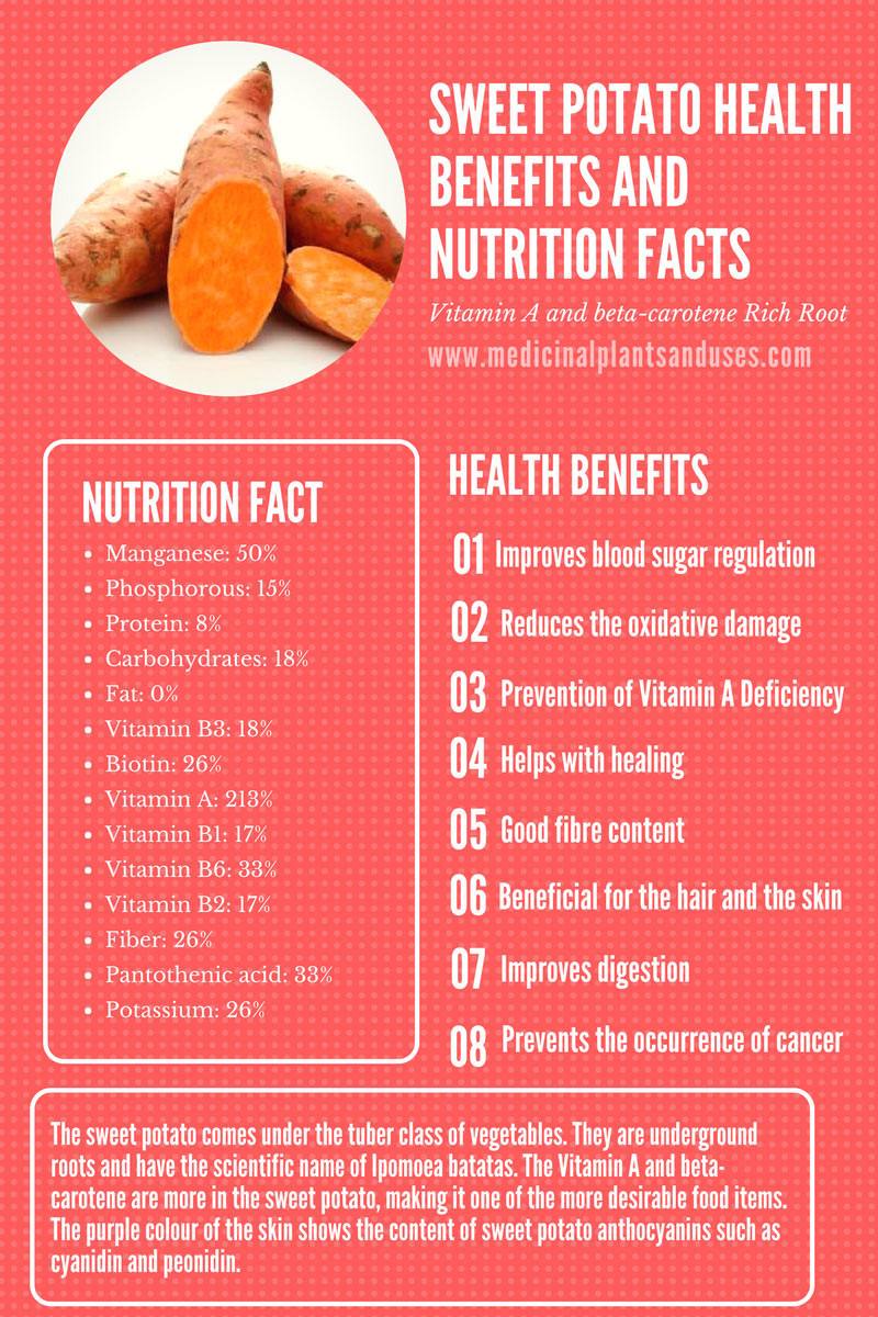 Nutrition Sweet Potato
 Sweet Potato Health Benefits and Nutrition Facts Ipomoea