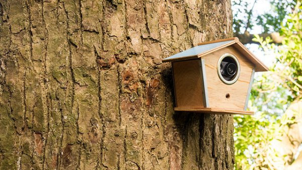 Outdoor Camera Enclosure DIY
 Your IP security camera may not work out after find out