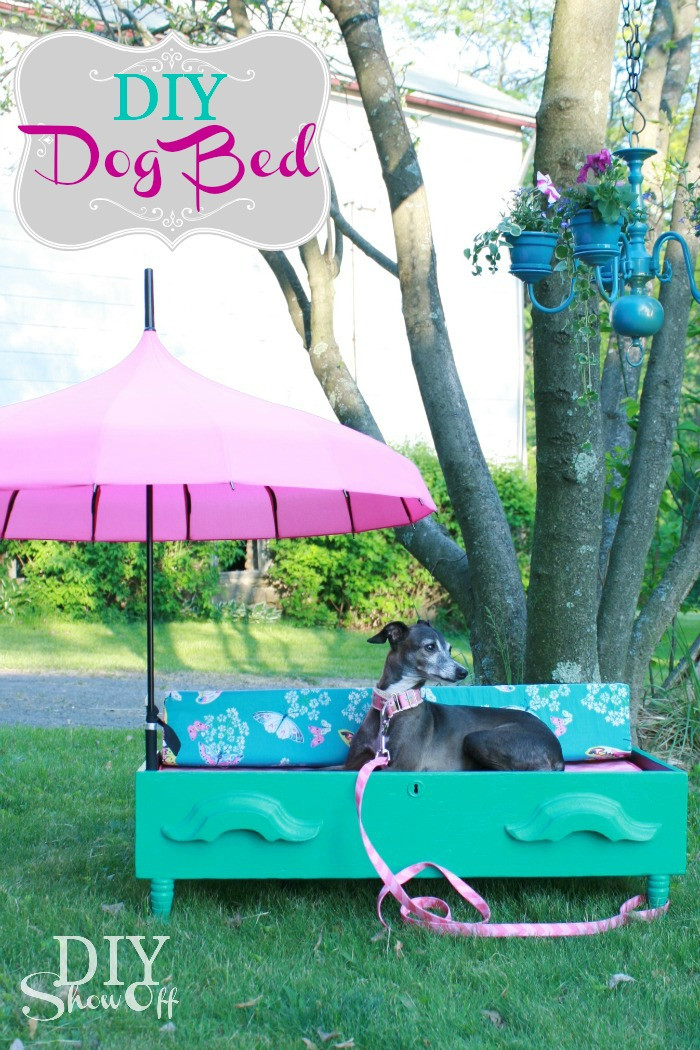 Outdoor Cat Bed DIY
 DIY Dog Bed LowesCreatorDIY Show f ™ – DIY Decorating