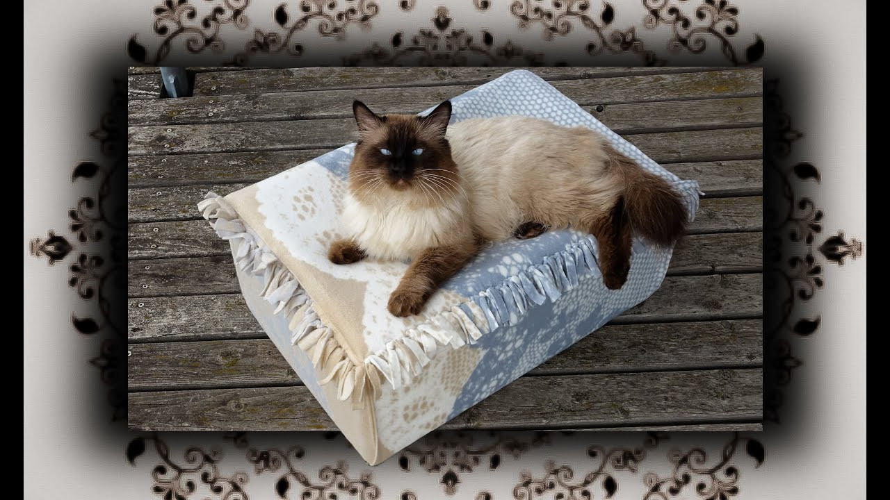 Outdoor Cat Bed DIY
 DIY 😻 Outdoor Knoten Bett für Katzen