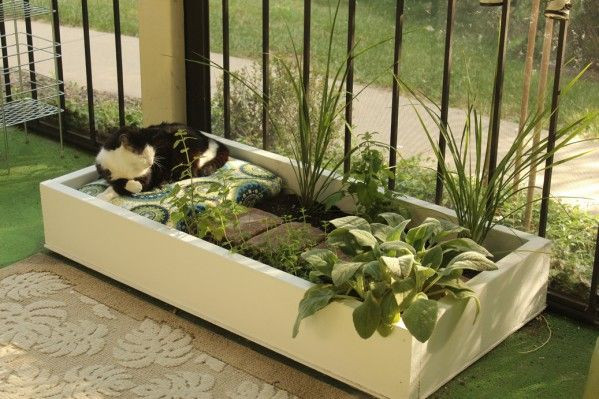 Outdoor Cat Bed DIY
 DIY outdoor cat lounge