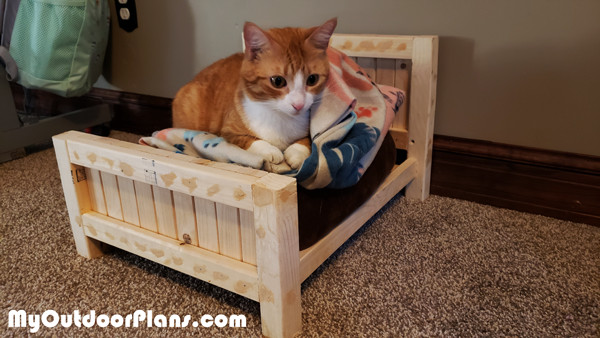 Outdoor Cat Bed DIY
 DIY Farmhouse Cat Bed MyOutdoorPlans