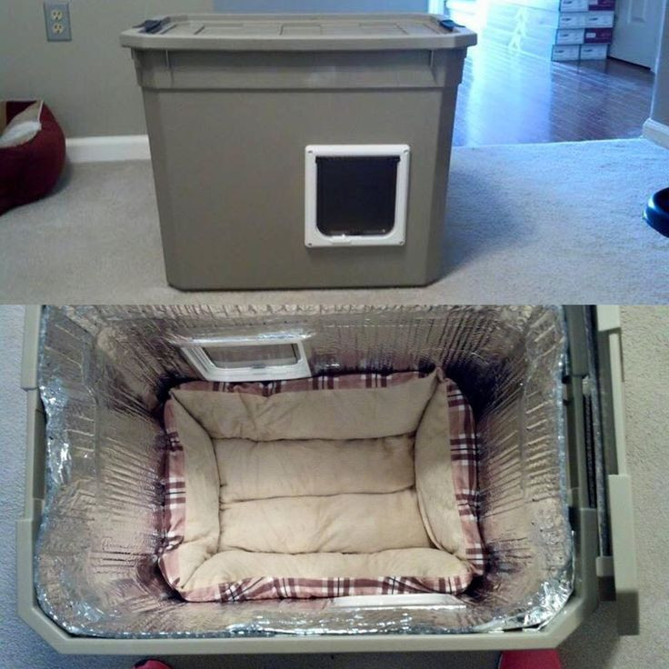 Outdoor Cat Bed DIY
 Outdoor cat shelter that someone built and it s so easy to