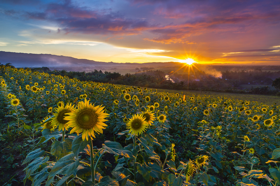 Outdoor Landscape Photography
 Landscape graphy PCCI Institute of graphy