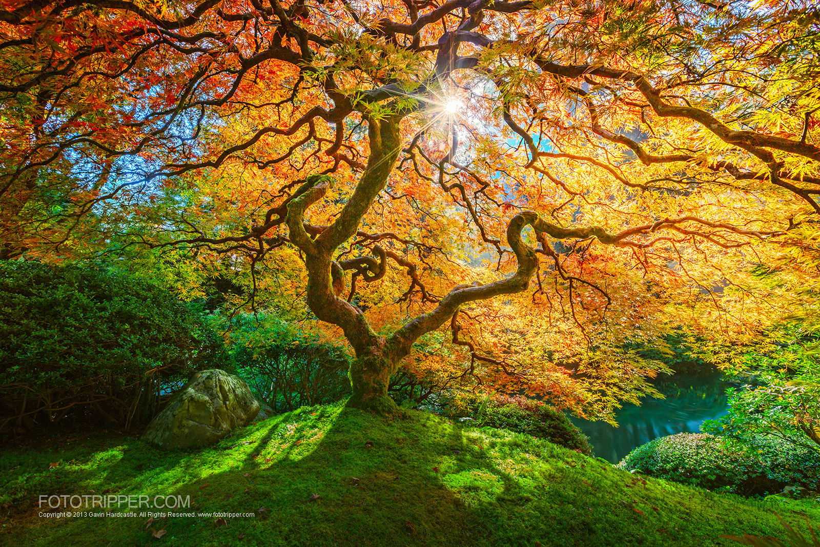 Outdoor Landscape Photography
 How to Shoot Portland Japanese Garden Fototripper