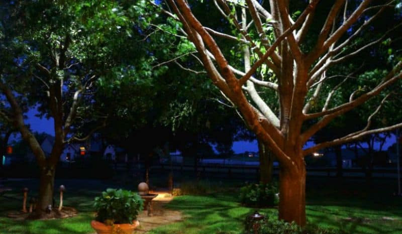 Outdoor Landscape Trees
 Landscape Lighting Styles Trees Gardens & Planters