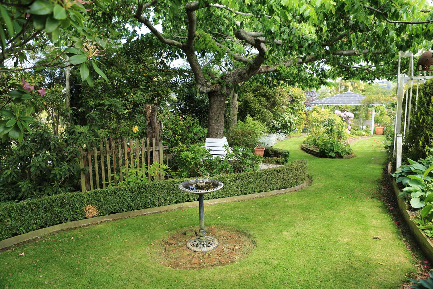 Outdoor Landscape Trees
 Elm Tree Garden