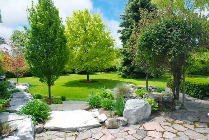 Outdoor Landscape Trees
 Landscaping Trees Big Spring Landscaping