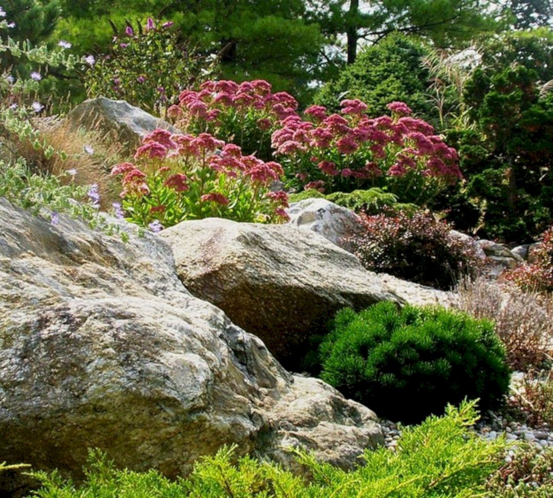 Outdoor Landscape With Rocks
 55 The Rock Garden Design Ideas For Exciting Garden