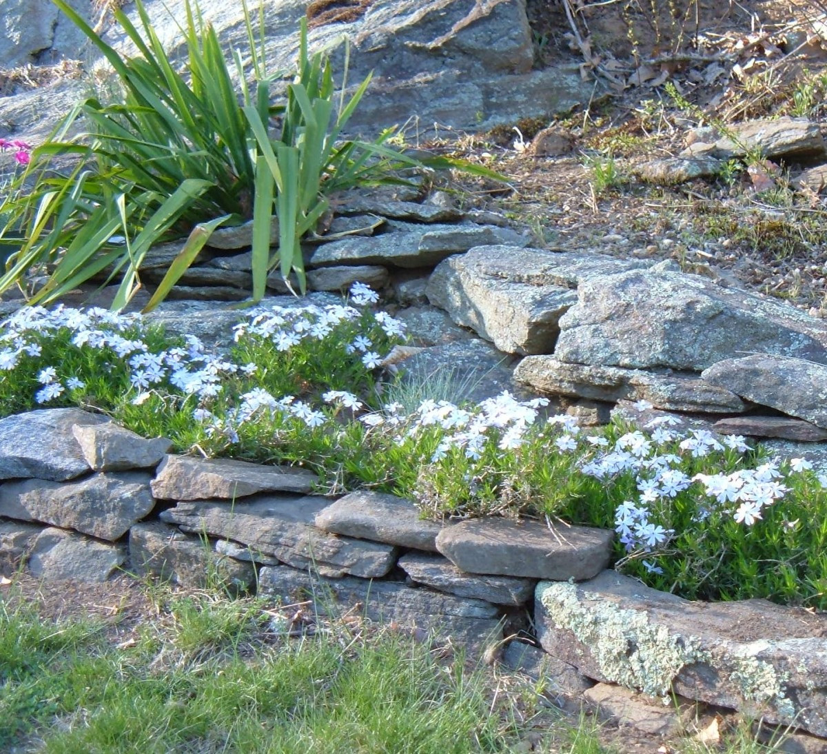 Outdoor Landscape With Rocks
 How to Design a Rock Garden Landscaping With Rocks and