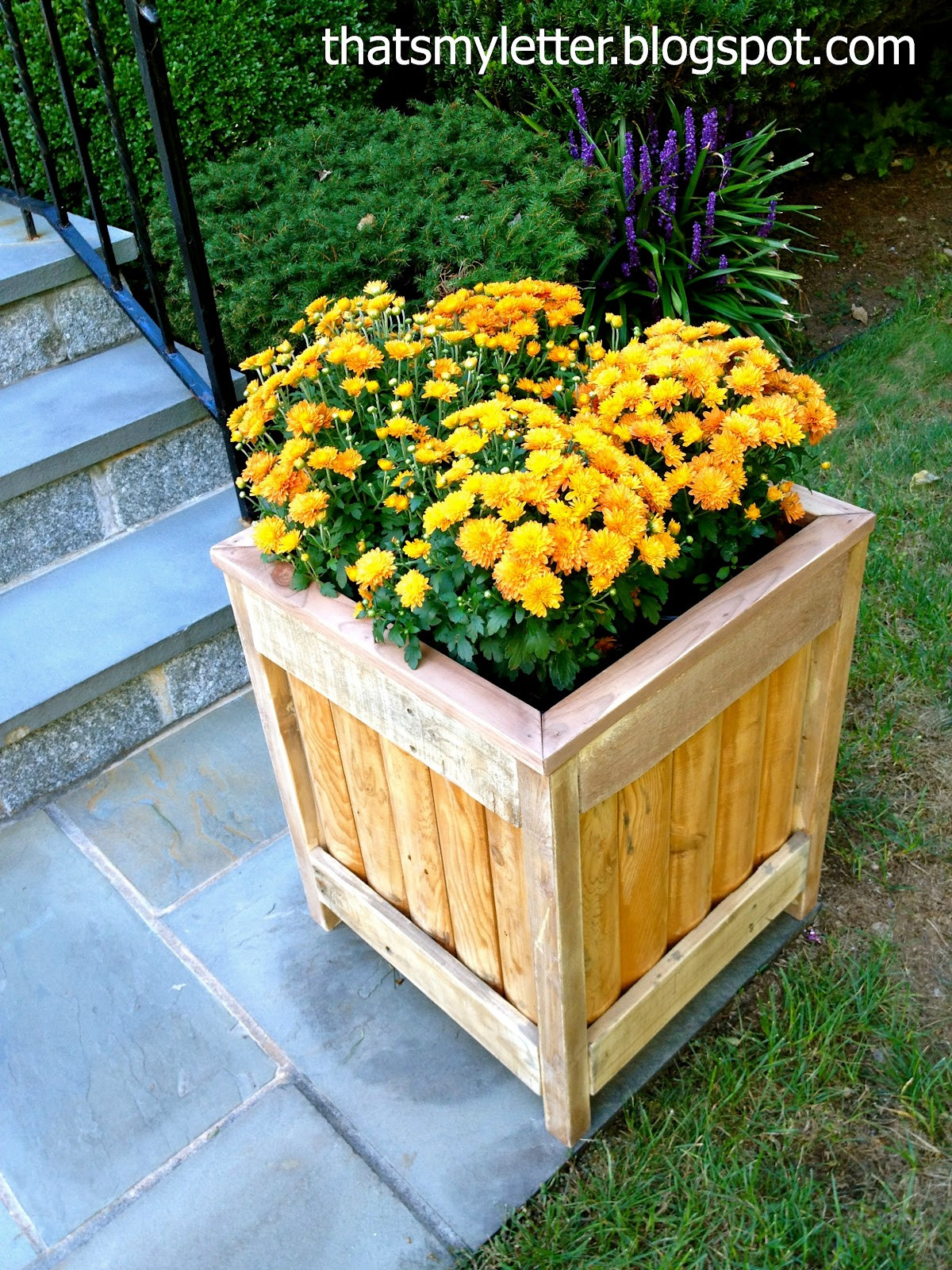 Outdoor Planter DIY
 That s My Letter DIY Outdoor Planter