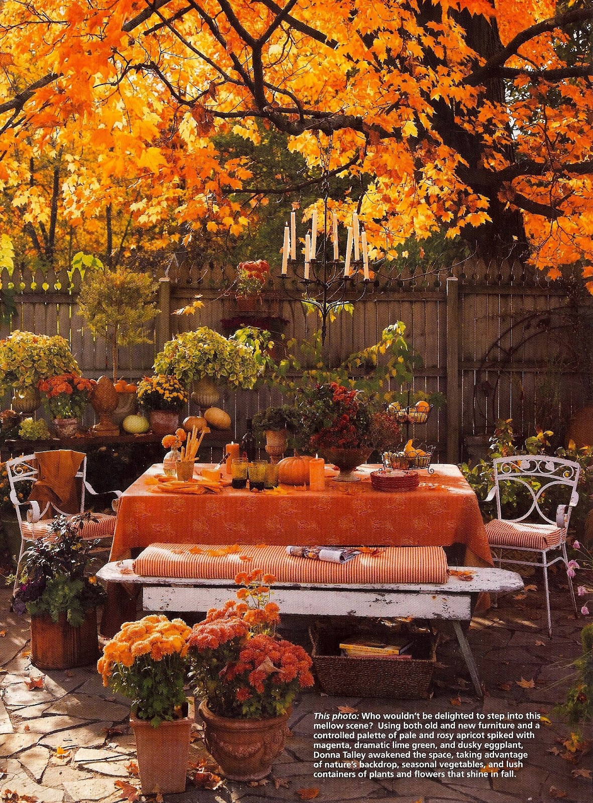 Outdoor Thanksgiving Decorations
 Red Door Home Twelve Questions For a Magazine Story Producer