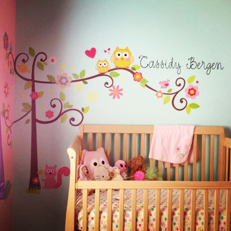 Owl Baby Room Decorations
 Cute Paint Colors For Girl Bedrooms Theme Owl
