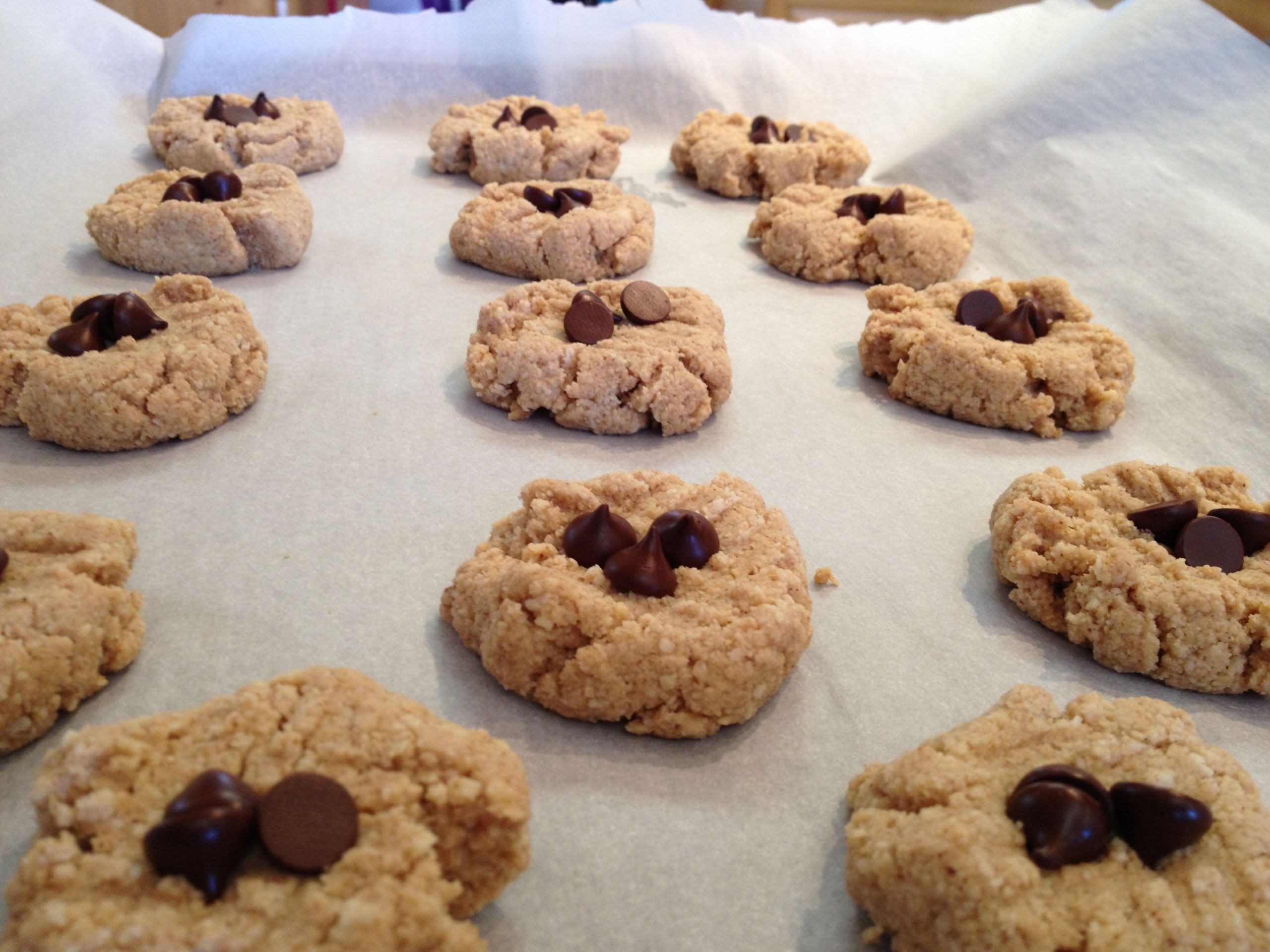 Paleo Almond Butter Cookies
 Best Ever Paleo Almond Butter Cookies