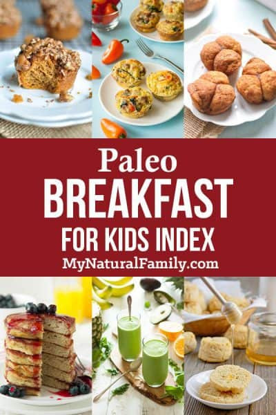 Paleo Breakfast For Kids
 Paleo Breakfast Recipes Index for a Great Start to Your Day