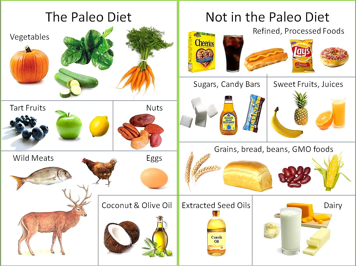 Paleo Diet Cons
 Pros & Cons of the Paleo Diet