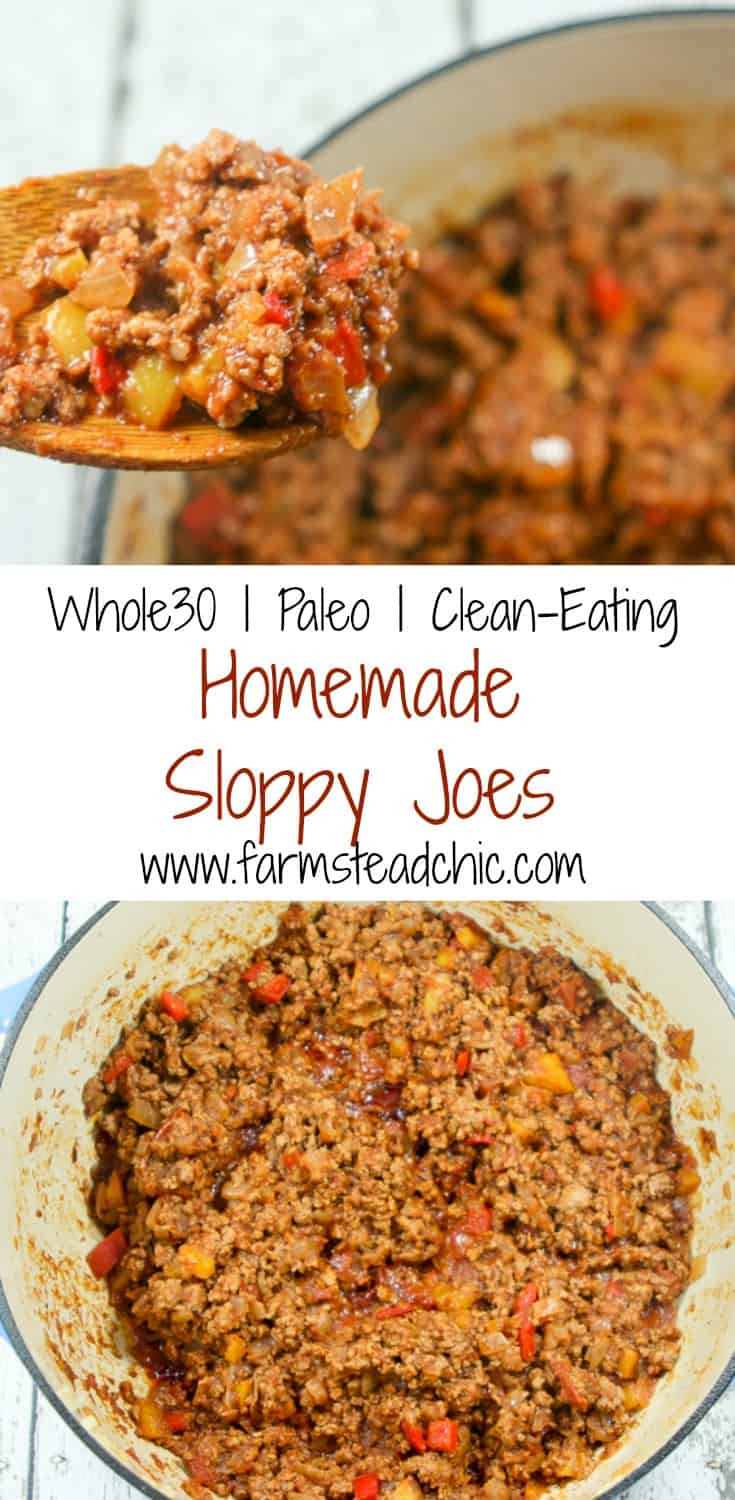 Paleo Sloppy Joes Recipes
 Paleo & Whole30 Sloppy Joes Sweet Spicy EASY