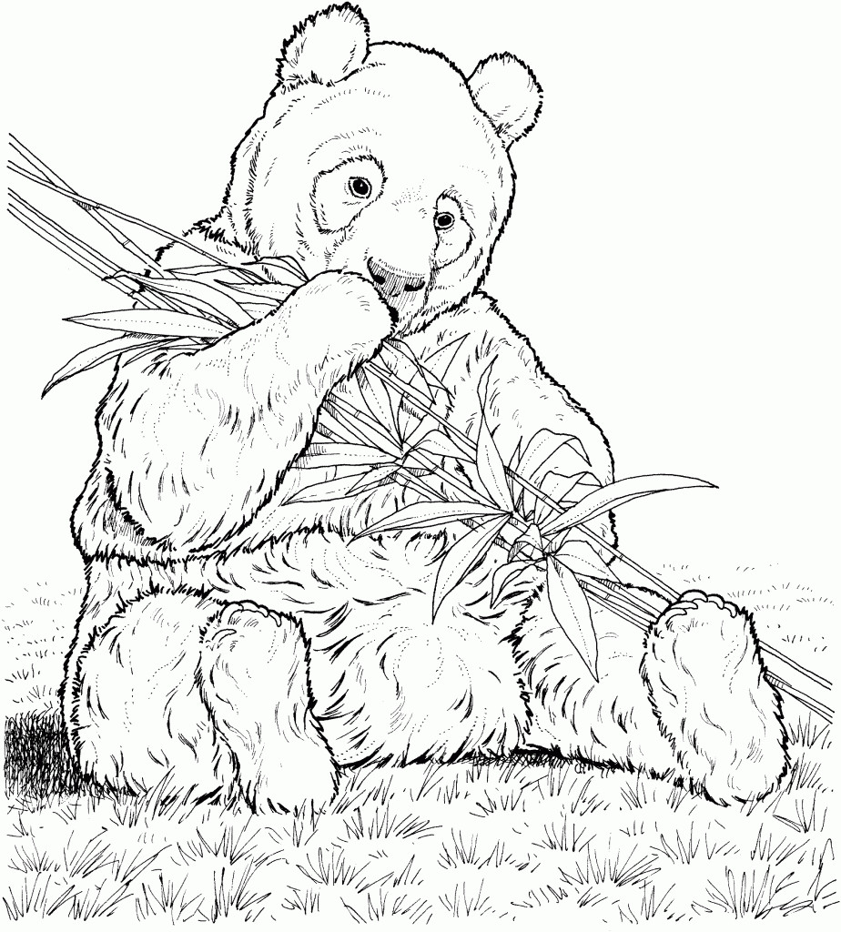 Panda Coloring Pages For Adults
 Panda Coloring Pages Best Coloring Pages For Kids