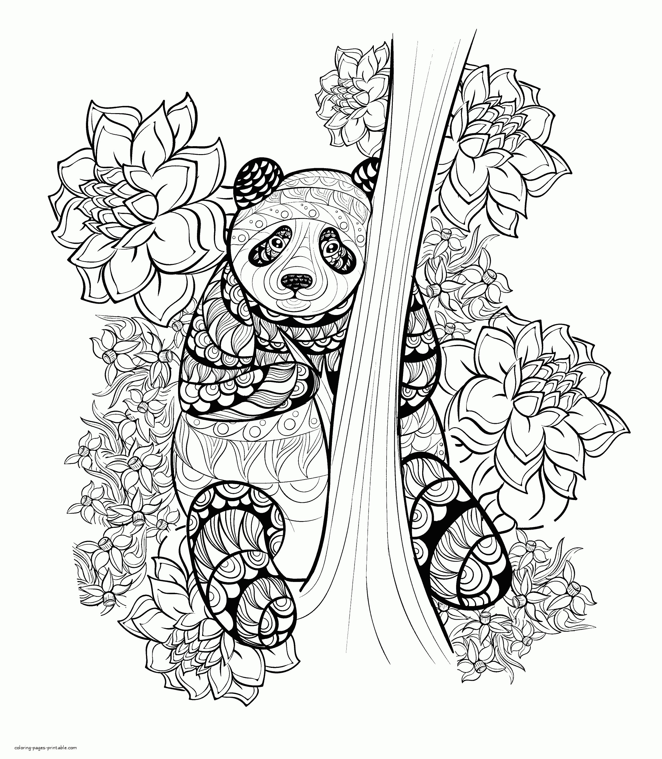 Panda Coloring Pages For Adults
 Panda Coloring Page For Adults COLORING PAGES PRINTABLE