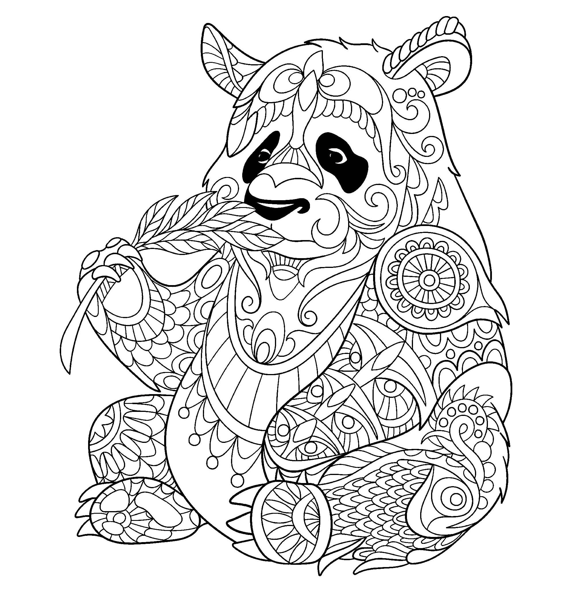 Panda Coloring Pages For Adults
 Panda eating bamboo shoot P&a Adult Coloring Pages