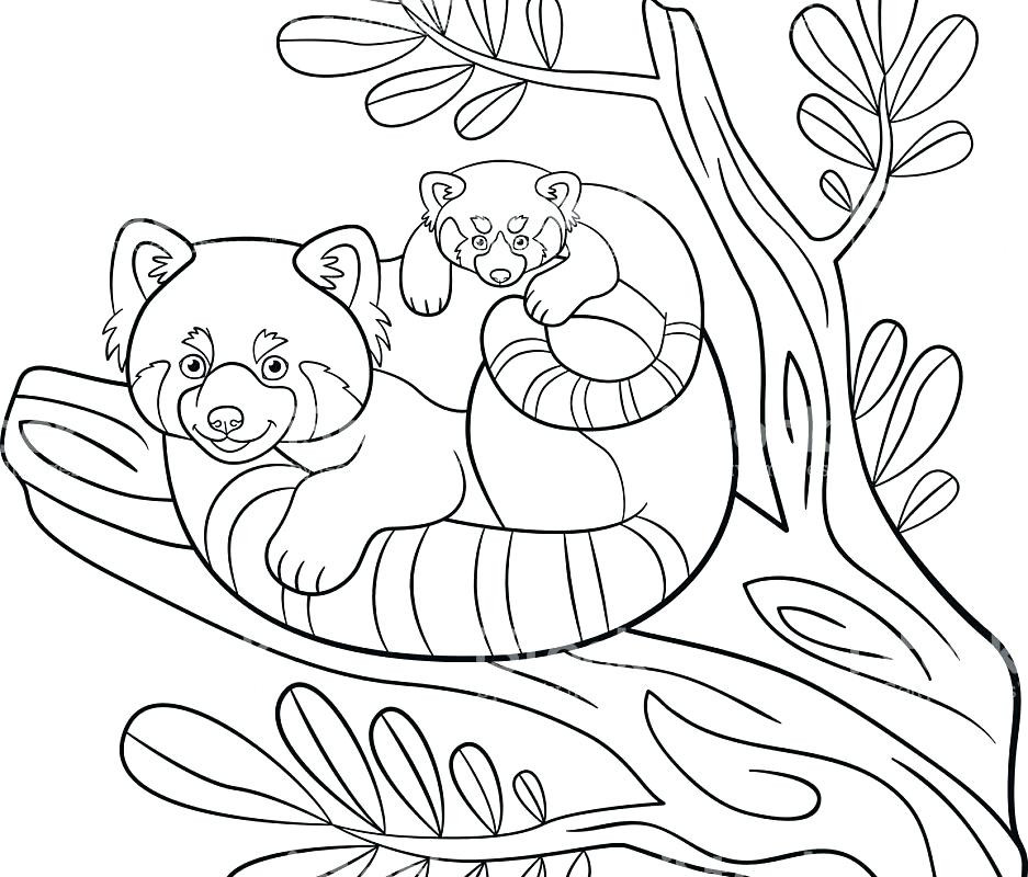 Panda Coloring Pages For Adults
 Panda Coloring Pages For Adults at GetDrawings