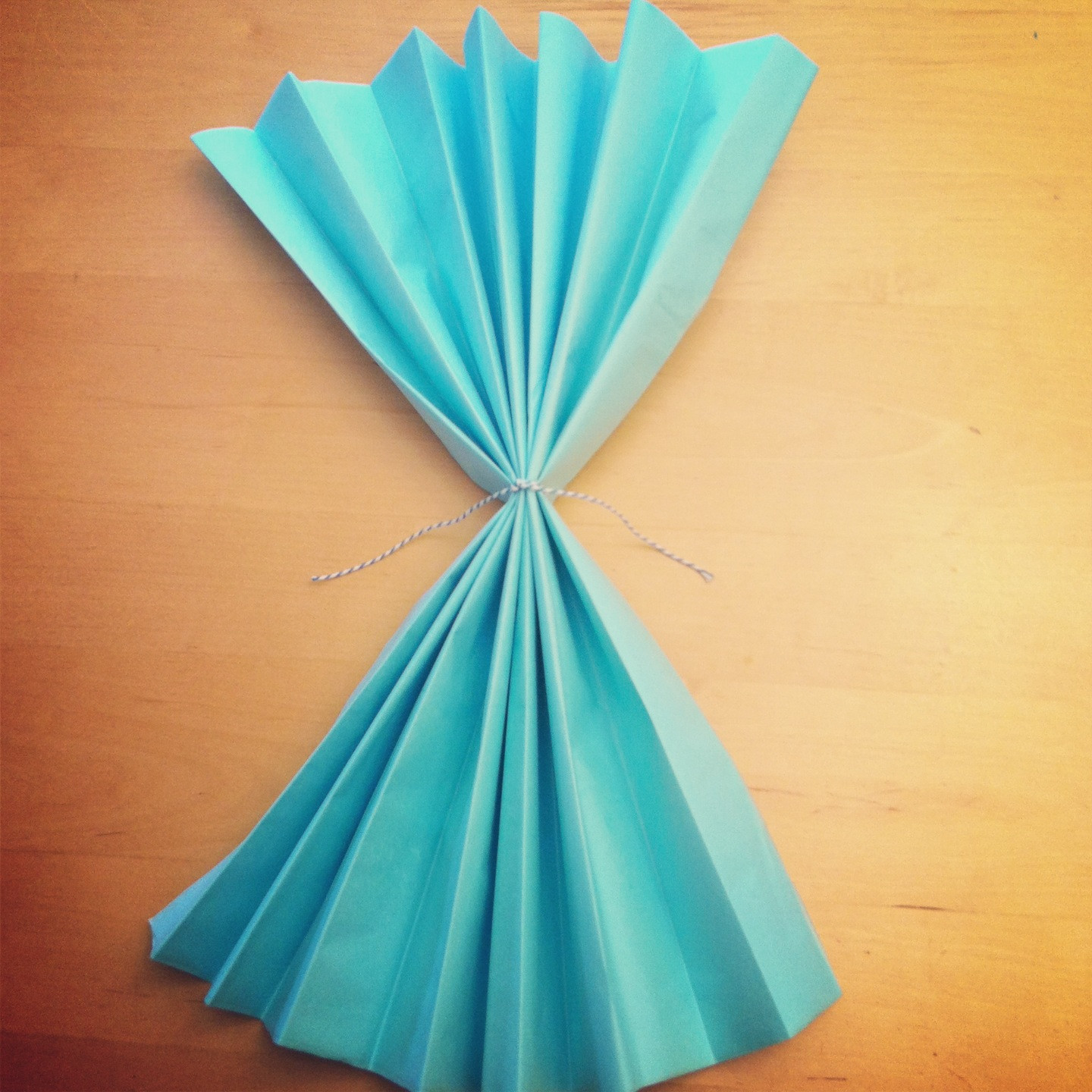 Paper Decorations DIY
 Tutorial How To Make DIY Giant Tissue Paper Flowers