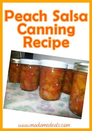 Peach Salsa Recipe For Canning
 Canning Recipe for Peach Salsa
