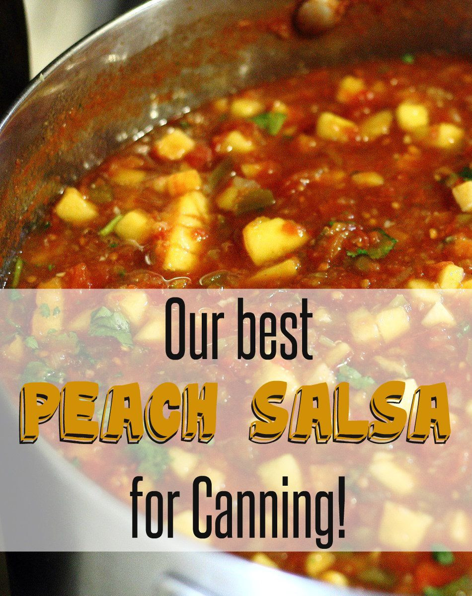 Peach Salsa Recipe For Canning
 Canning Recipe