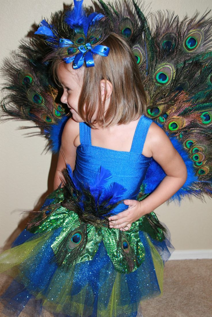 Peacock Halloween Costumes DIY
 10 best images about costumes on Pinterest